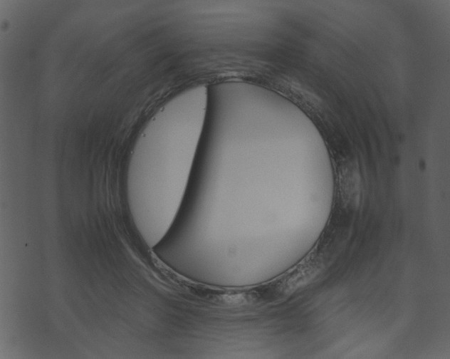 X0000074330406200608251025