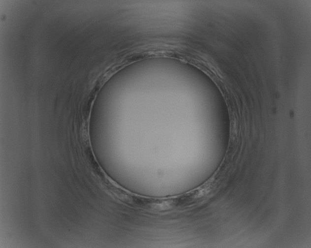 X0000074330411200608251025