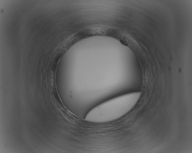 X0000074330413200608251025