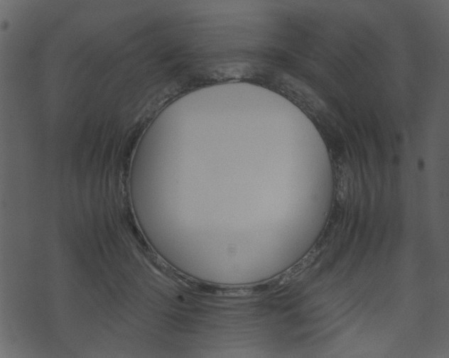 X0000074330414200608251025
