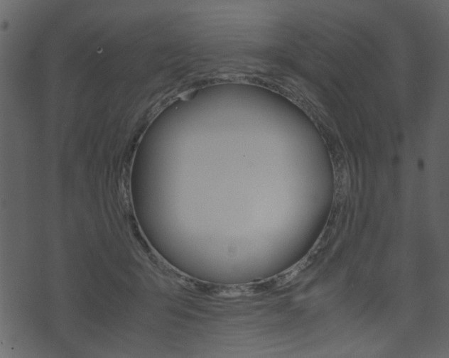 X0000074330415200608251025