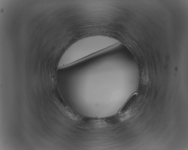 X0000074330424200608251025