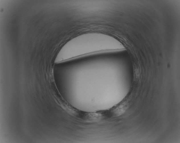 X0000074330429200608251025