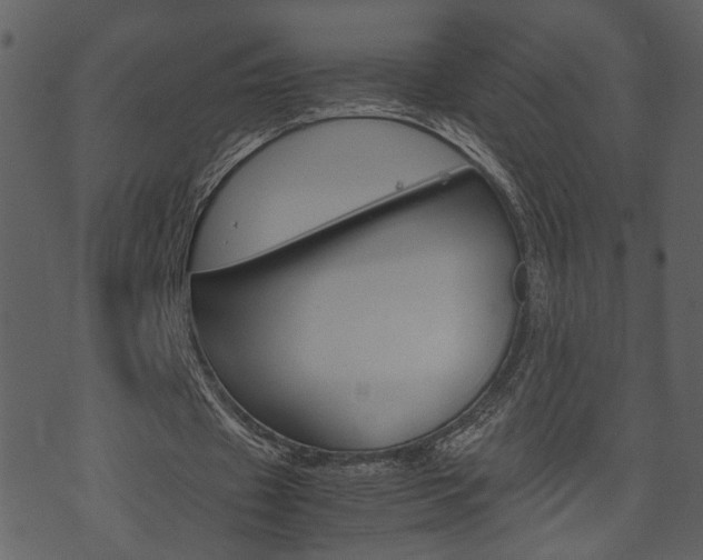 X0000074330433200608251024