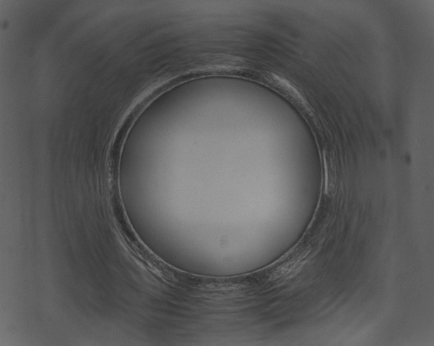 X0000074330435200608251024