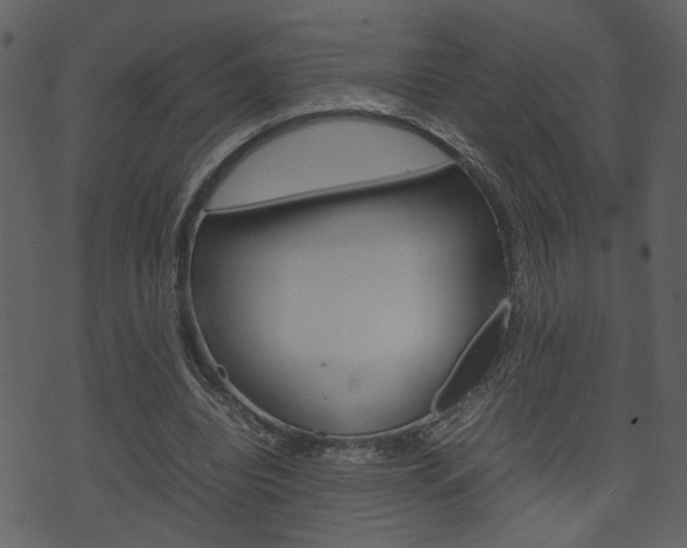 X0000074330440200608251024