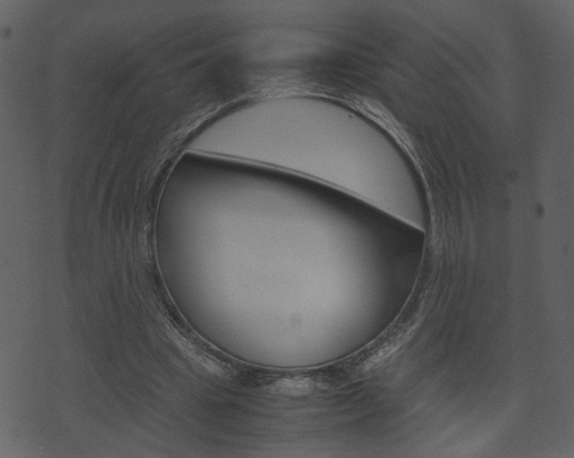X0000074330441200608251024