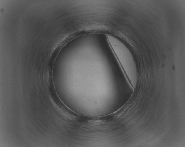 X0000074330448200608251024