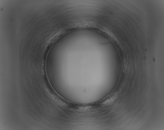 X0000074330450200608251024