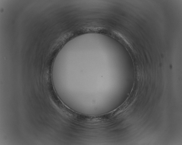 X0000074330451200608251024