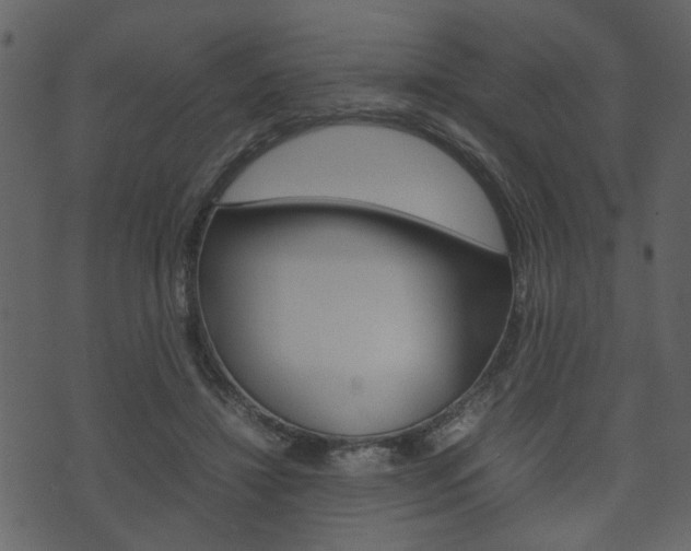 X0000074330452200608251024