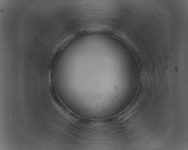 X0000074330454200608251024