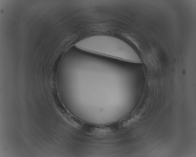 X0000074330455200608251024