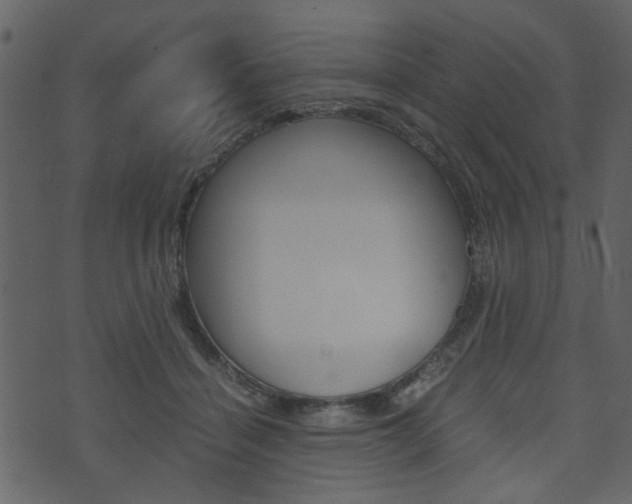 X0000074330460200608251024