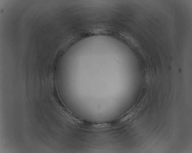 X0000074330461200608251024