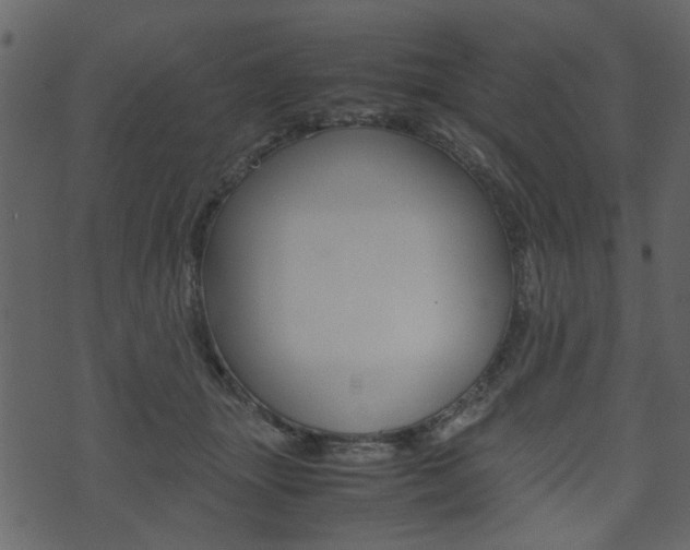 X0000074330463200608251024