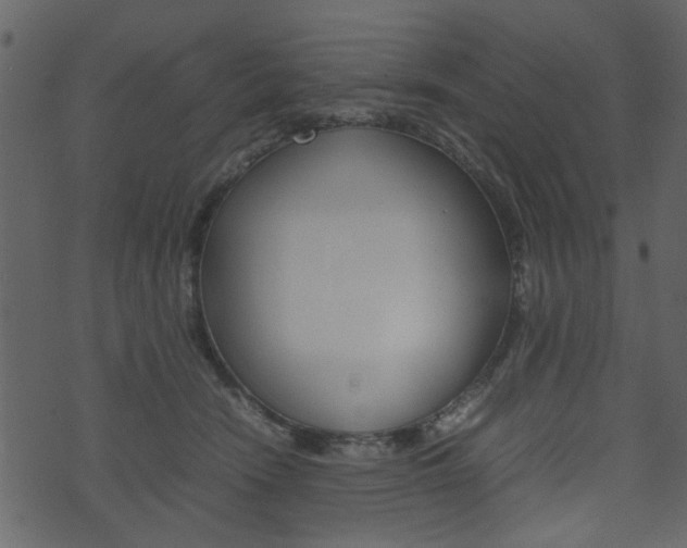 X0000074330466200608251024