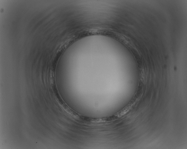 X0000074330470200608251025