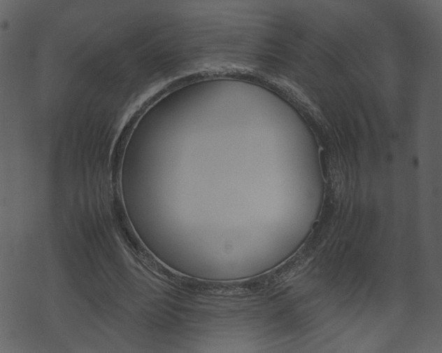 X0000074330488200608251024