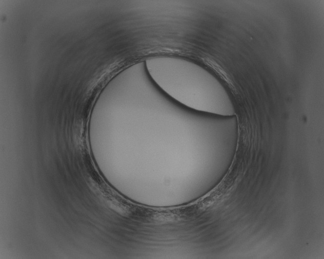 X0000074330490200608251024