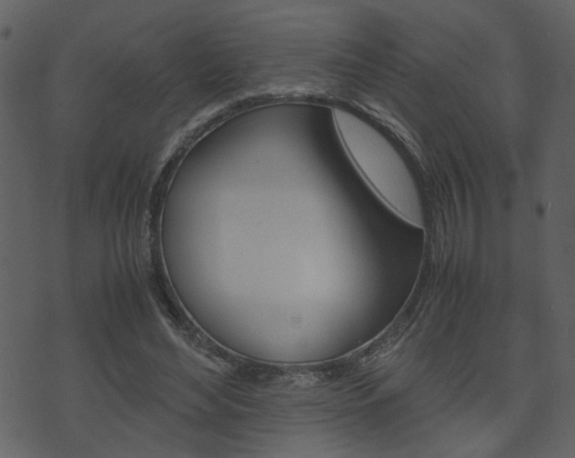 X0000074330492200608251024