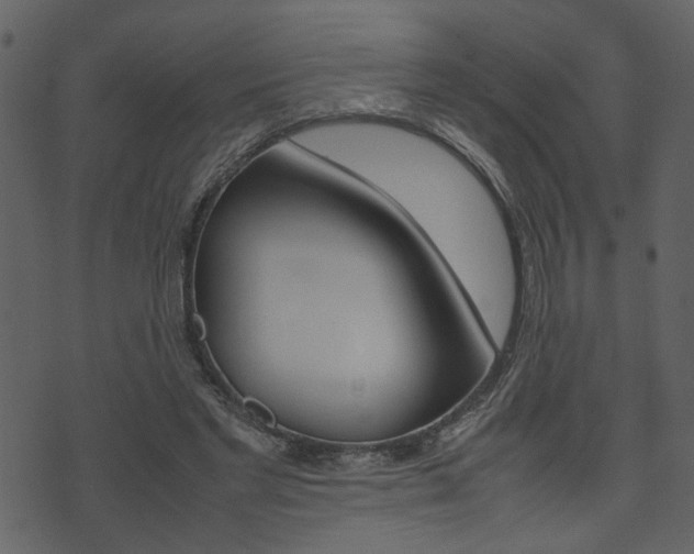 X0000074330493200608251024