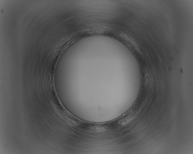 X0000074330498200608251024