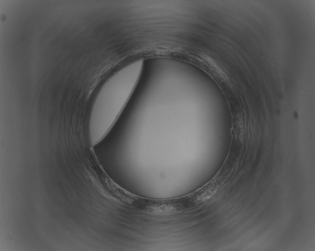 X0000074330500200608251024