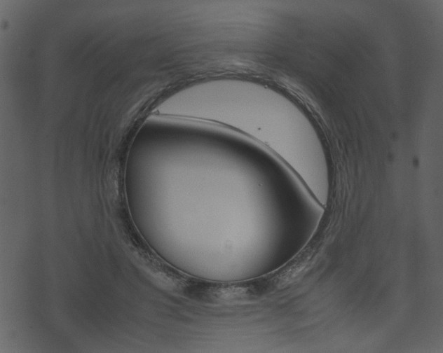 X0000074330501200608251024