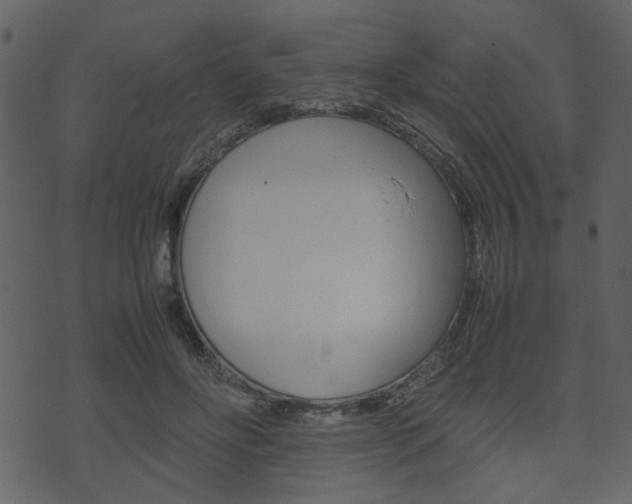 X0000074330502200608251024