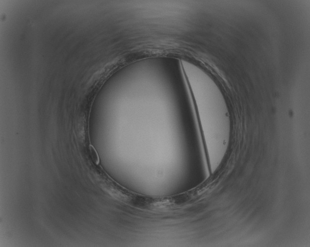 X0000074330505200608251024