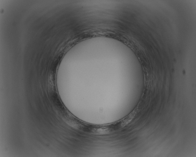 X0000074330506200608251023