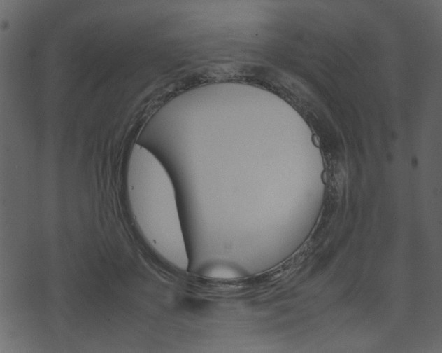 X0000074330507200608251023