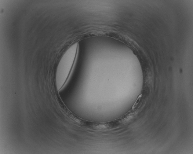 X0000074330513200608251023