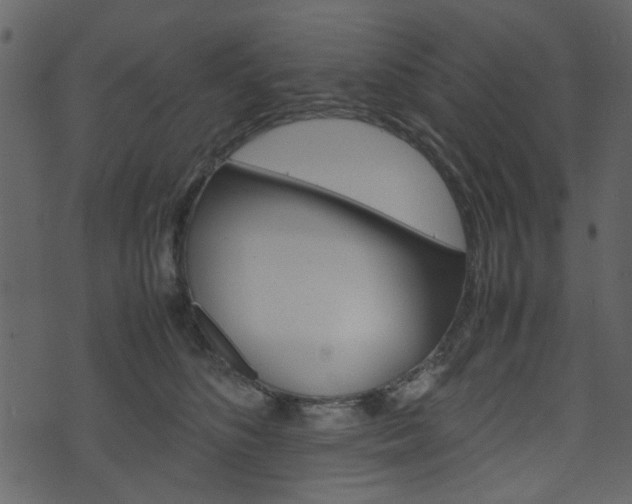 X0000074330516200608251023