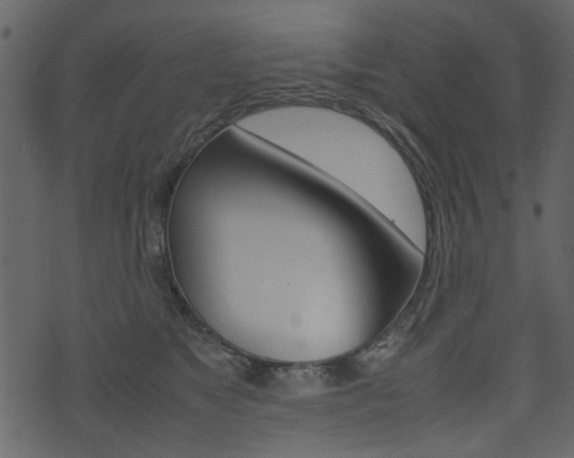X0000074330517200608251023