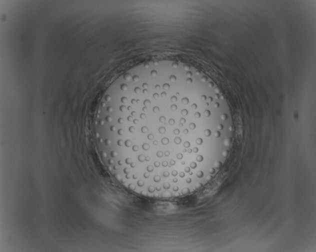 X0000074330519200608251023