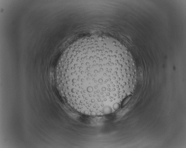 X0000074330527200608251023