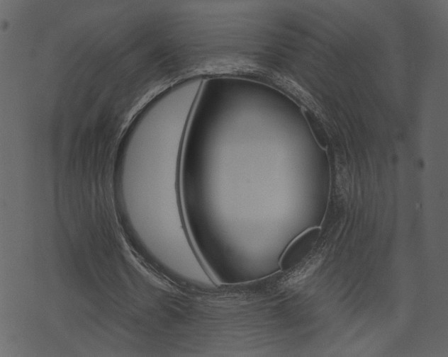 X0000074330530200608251022