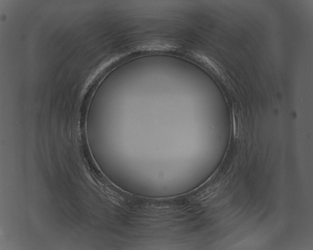 X0000074330531200608251022