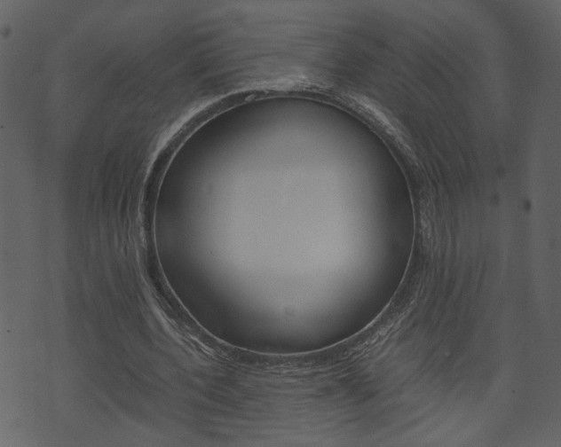 X0000074330532200608251022