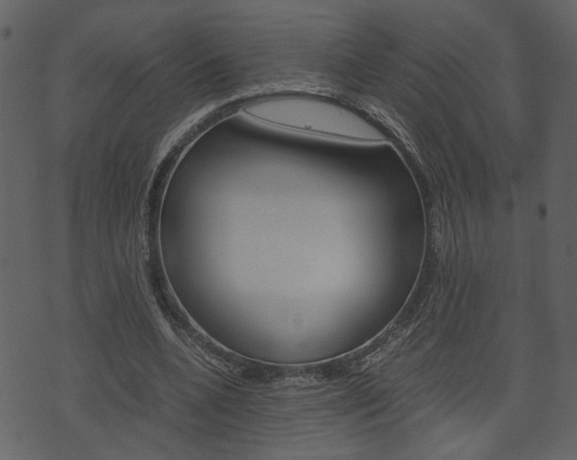 X0000074330536200608251022