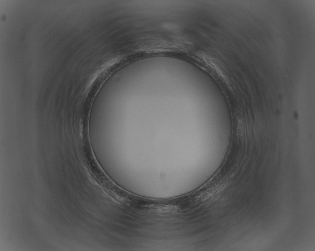 X0000074330539200608251023