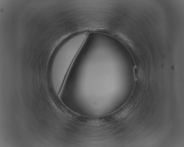 X0000074330540200608251023