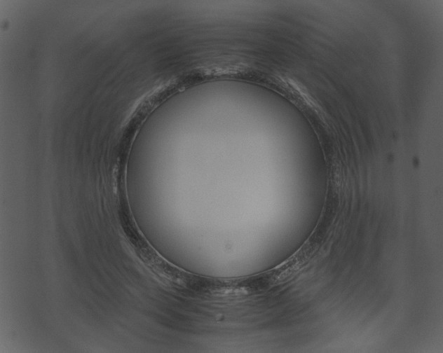 X0000074330543200608251023