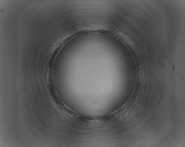 X0000074330544200608251023