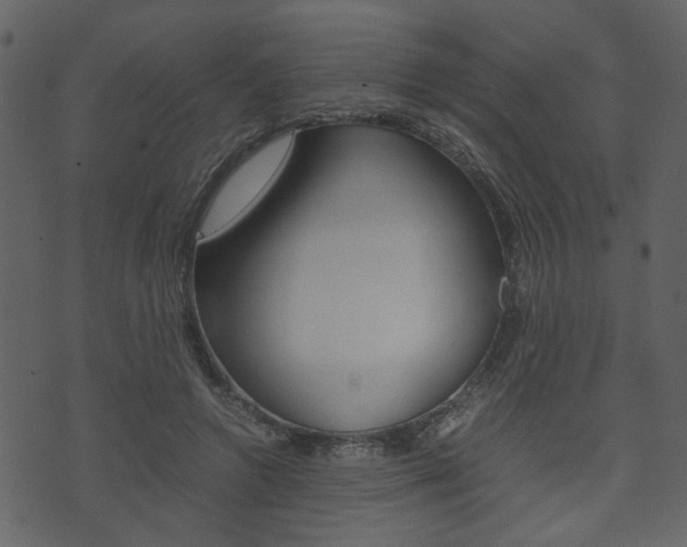X0000074330546200608251023
