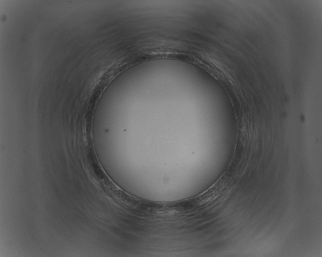X0000074330547200608251023
