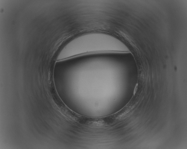 X0000074330548200608251023
