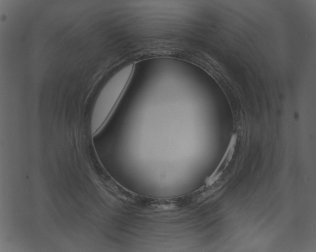 X0000074330552200608251023